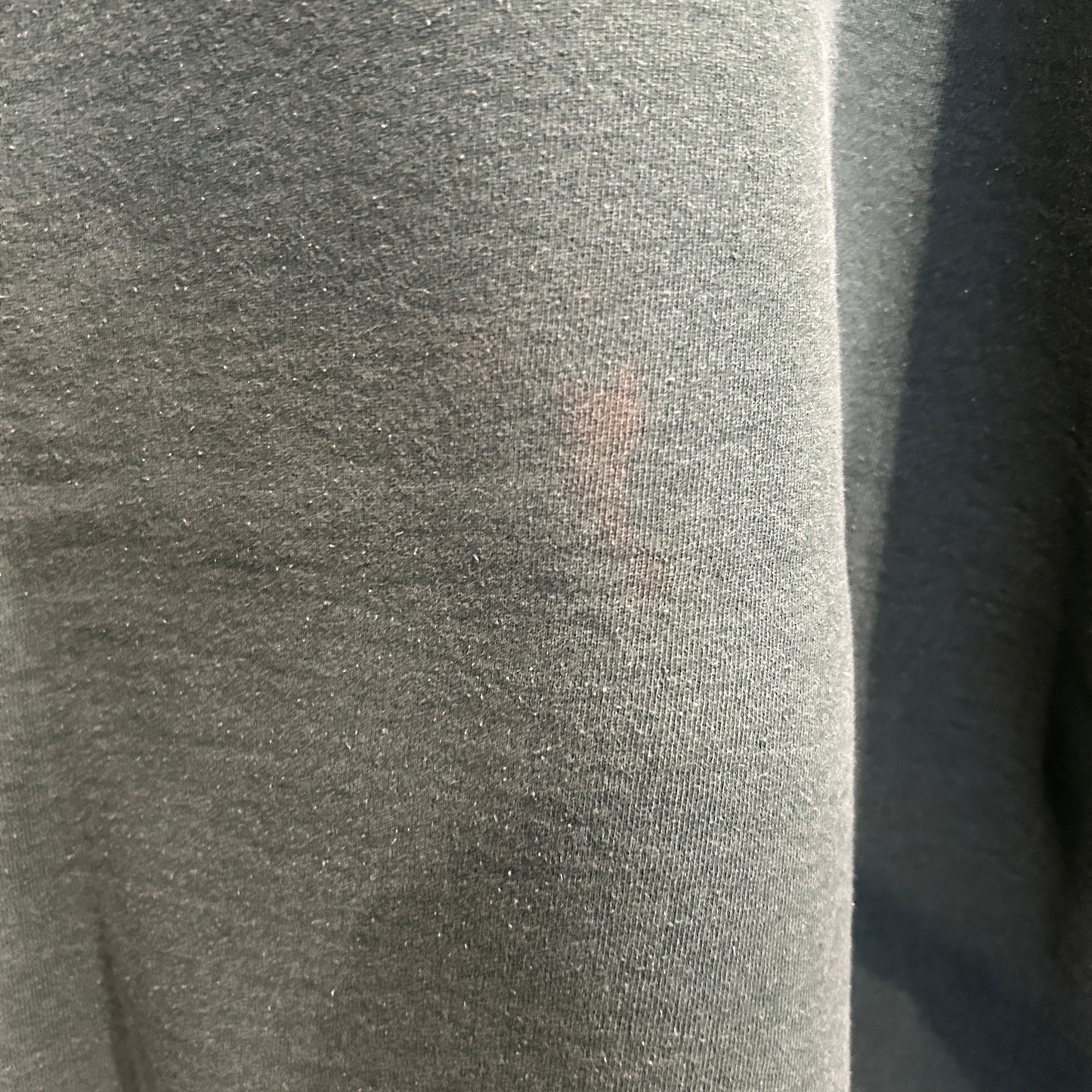 00's Fruit of the loom "Here Fishy... Fishy... Fishy!" ヘビーウェイト メッセージスウェットシャツ 緑 (L)/B1091S-SO