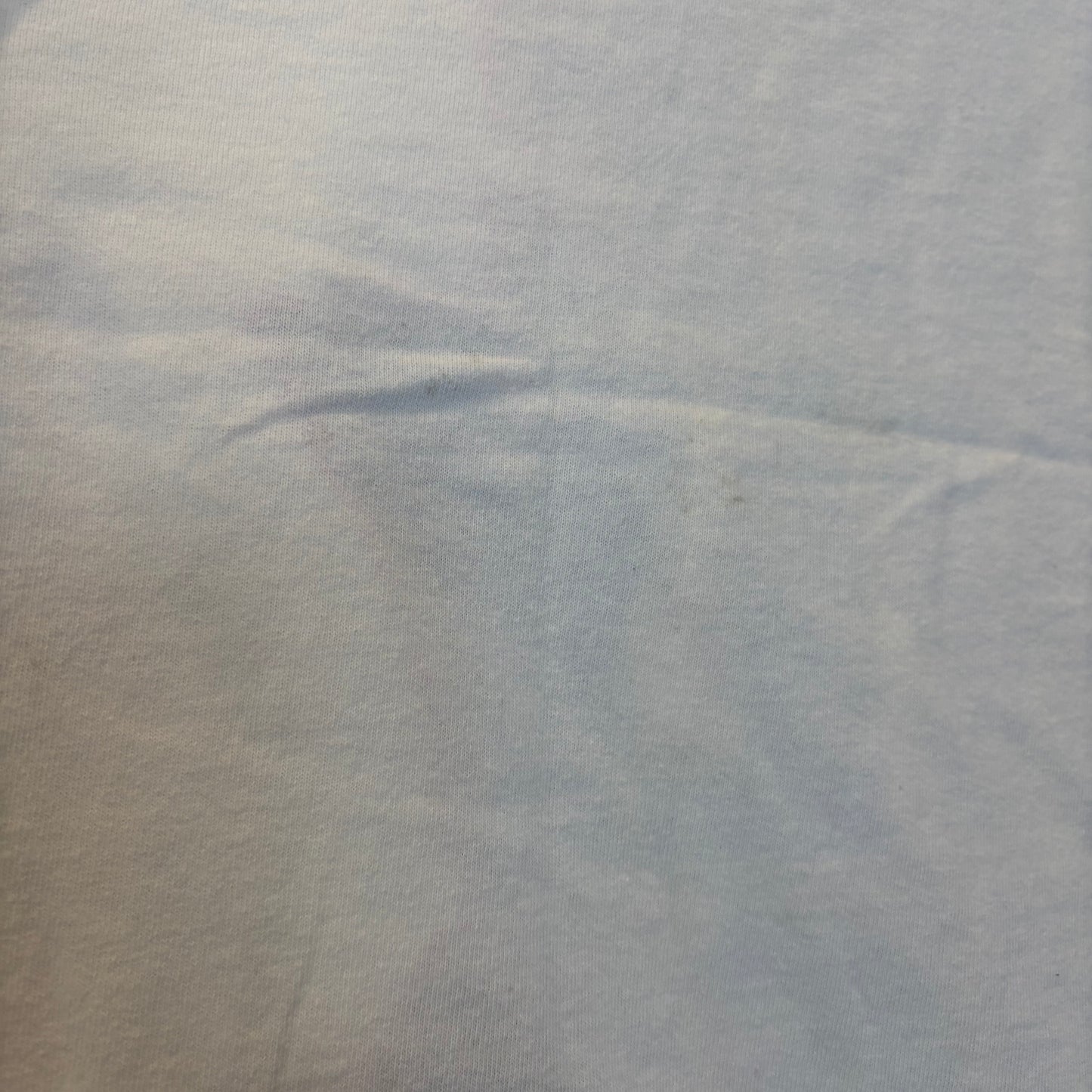 90's Disney Tigger "Wonderful Thing About Tiggers" キャラクターTシャツ 白 (S/M)/B3665T-SO