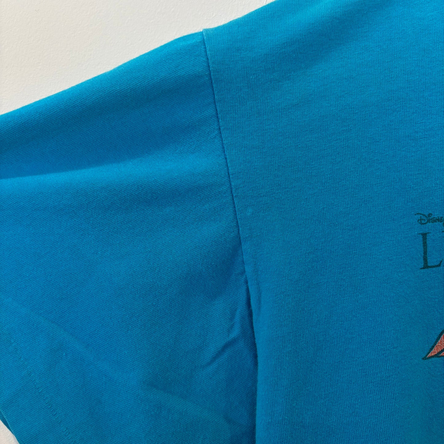 90's Disney Lion King "HAKUNA MATATA" キャラクターTシャツ ターコイズブルー (L)/A6758T-SO