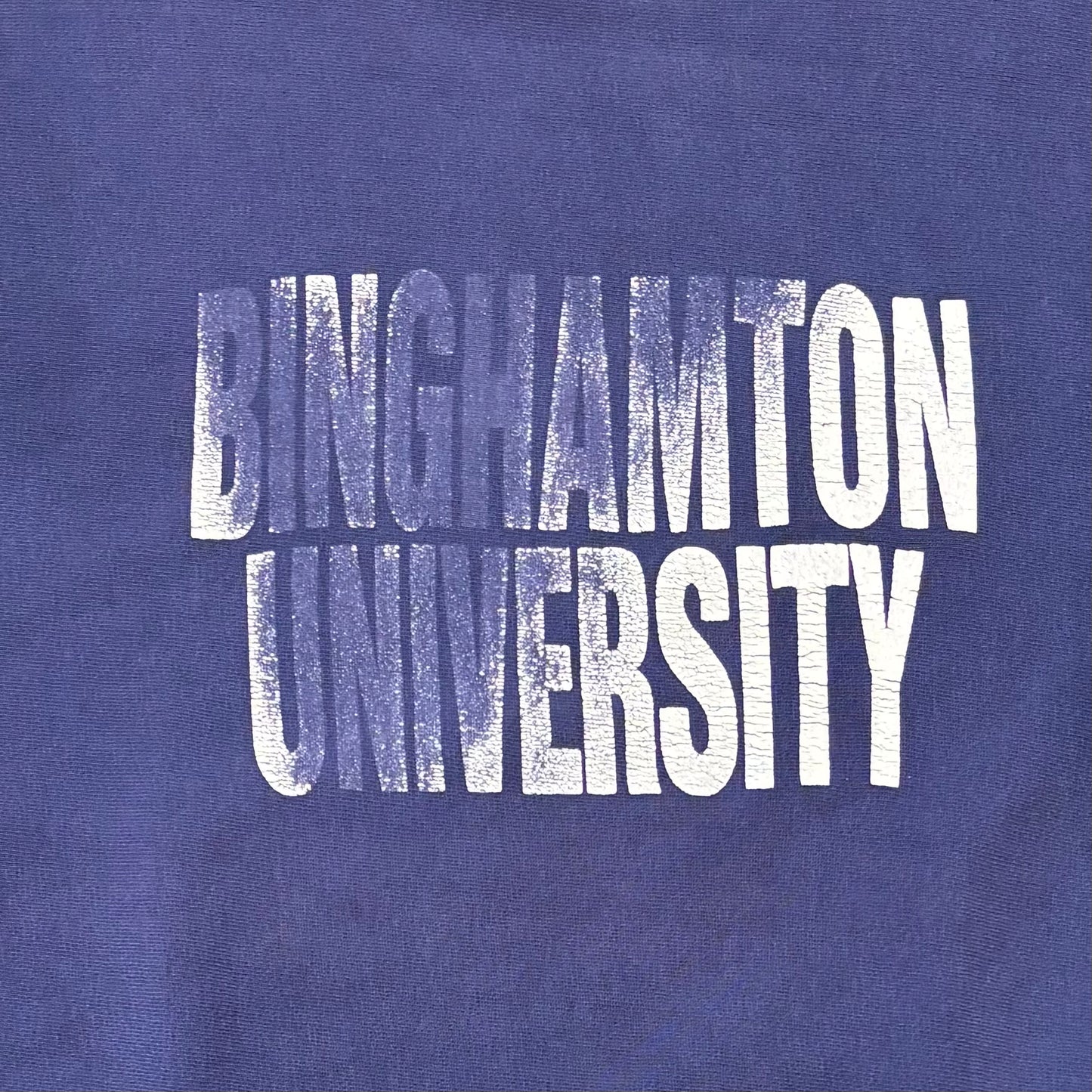 80's  Campion  REVERSE WEAVE リバース 内縫い BINGHAMTON UNIVERSITY 青紫 XL /A5448S-SO