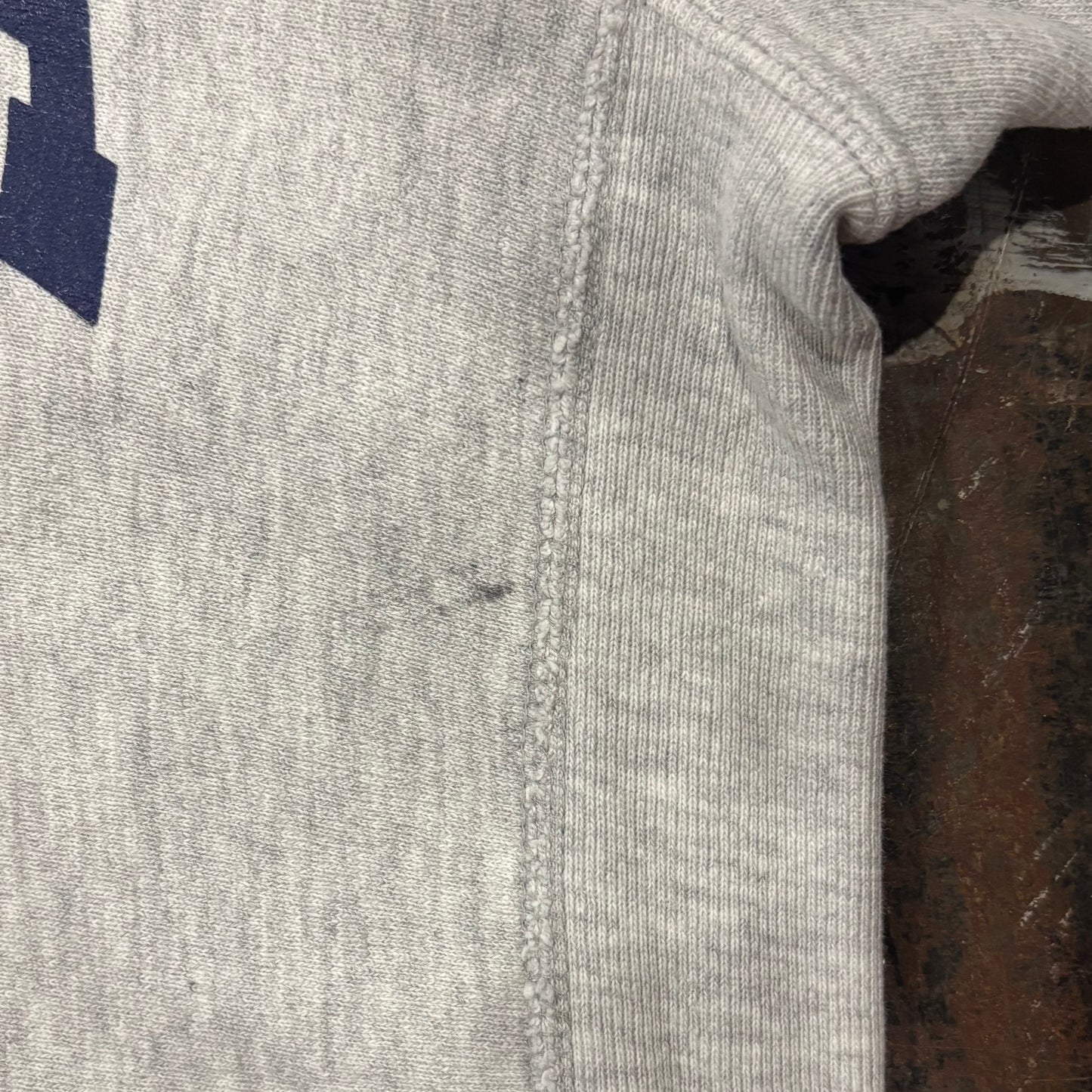 Campion  REVERSE WEAVE リバースウィーブ CALIFORNIA バックプリント グレー サイズ不明 /A8470S-SO