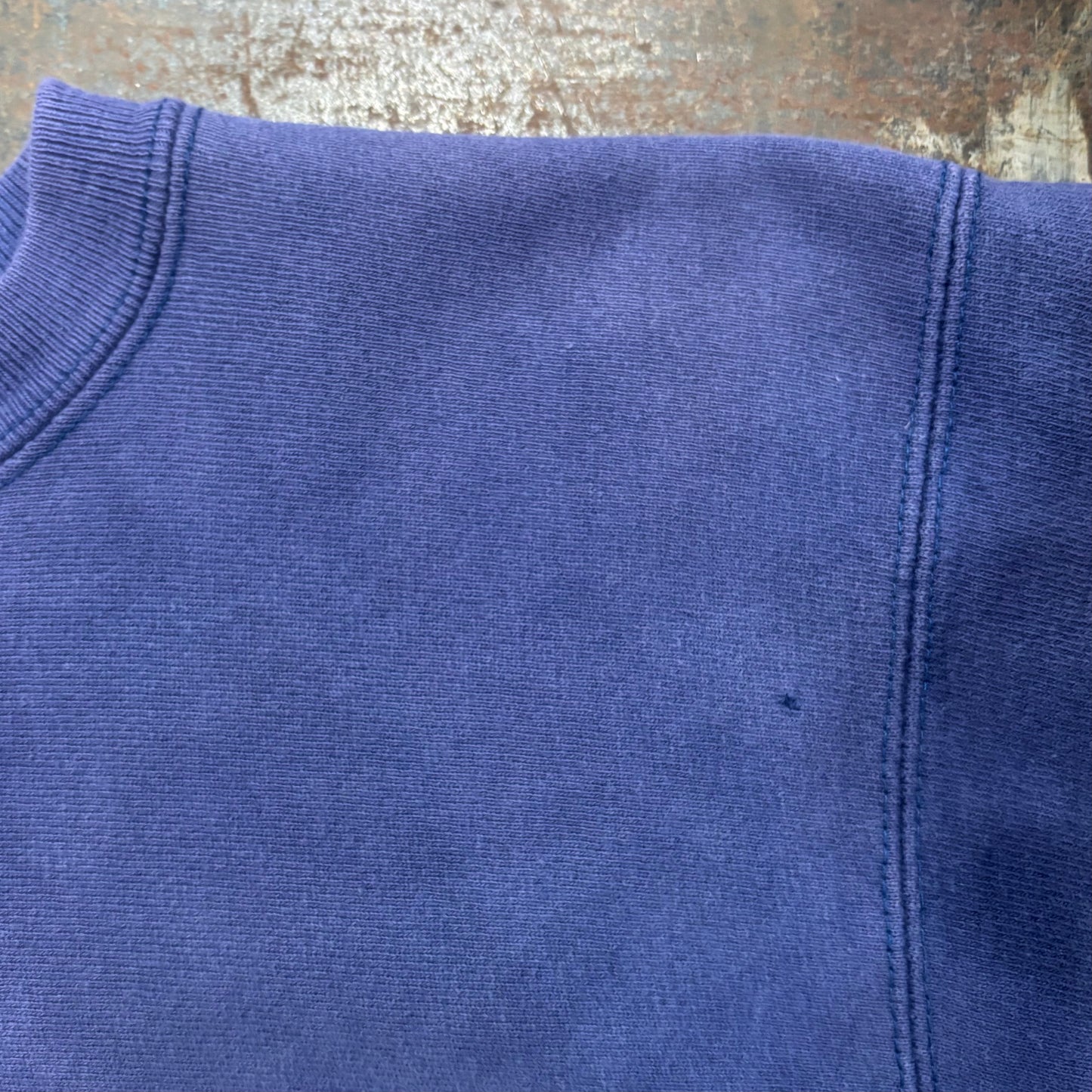 90's  Campion  REVERSE WEAVE リバースウィーブ WISCONSIN 青紫 L /A8544S-SO