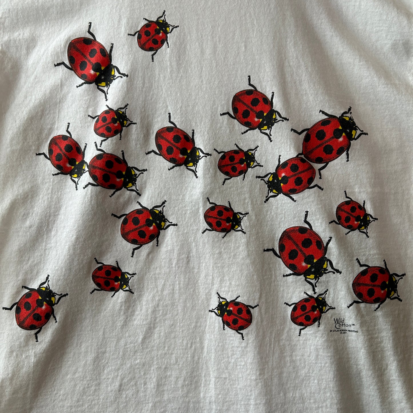 90's Wild Cotton てんとう虫 Tシャツ ルーレイ洞窟スーベニアTシャツ 白 anvil(L)/C1185T-SO
