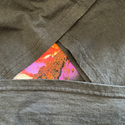 90's LED ZEPPELIN レッドツェッペリン Tシャツ Swan Song WINTERLAND 黒(XL)A6693T-SO