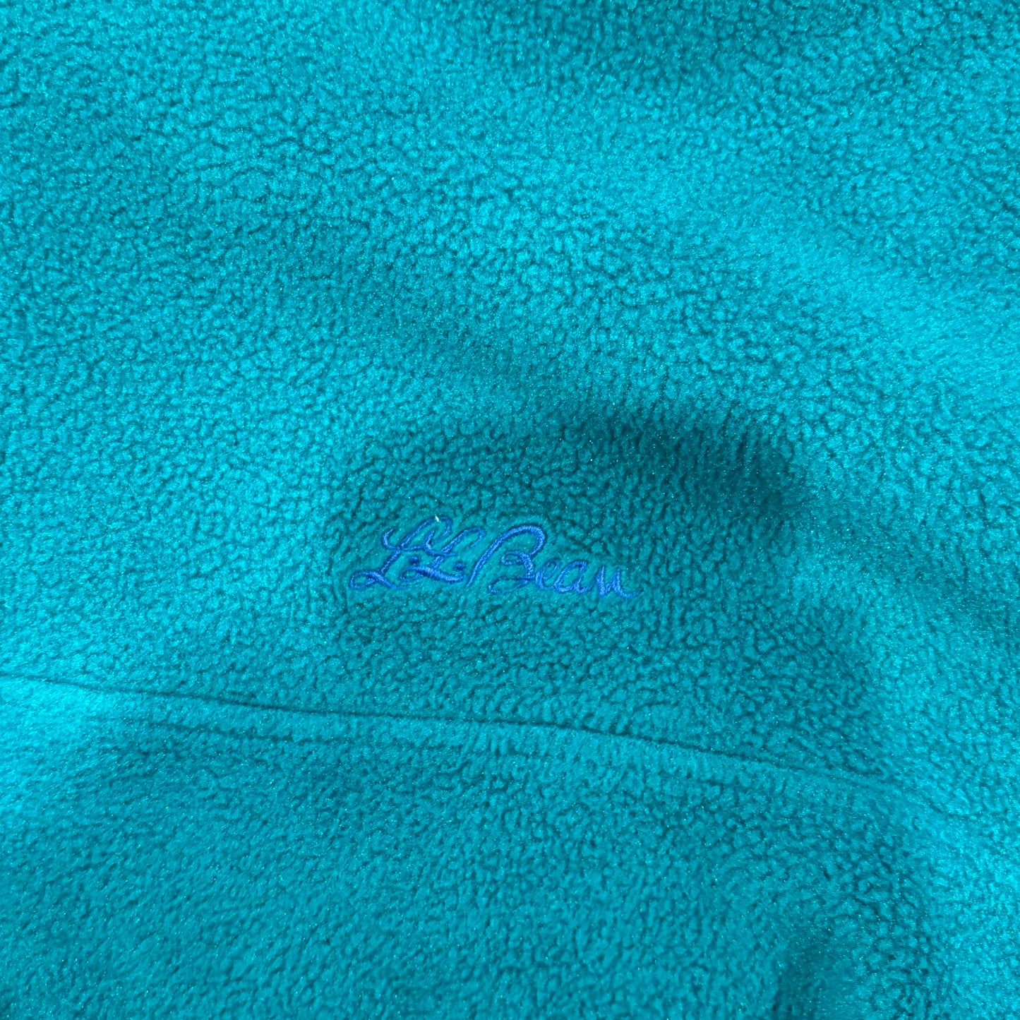 90's L.L.Bean スナップTタイプ フリースプルオーバー (サイズ不明)/B1438F-SO