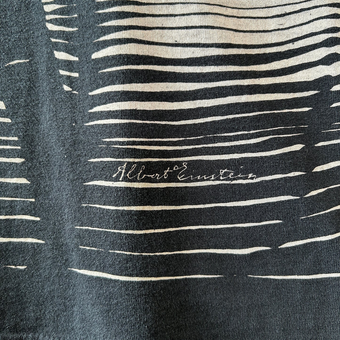 90's Albert Einstein アインシュタイン 肖像画Tシャツ ブラック (XL)/C1221T-SO