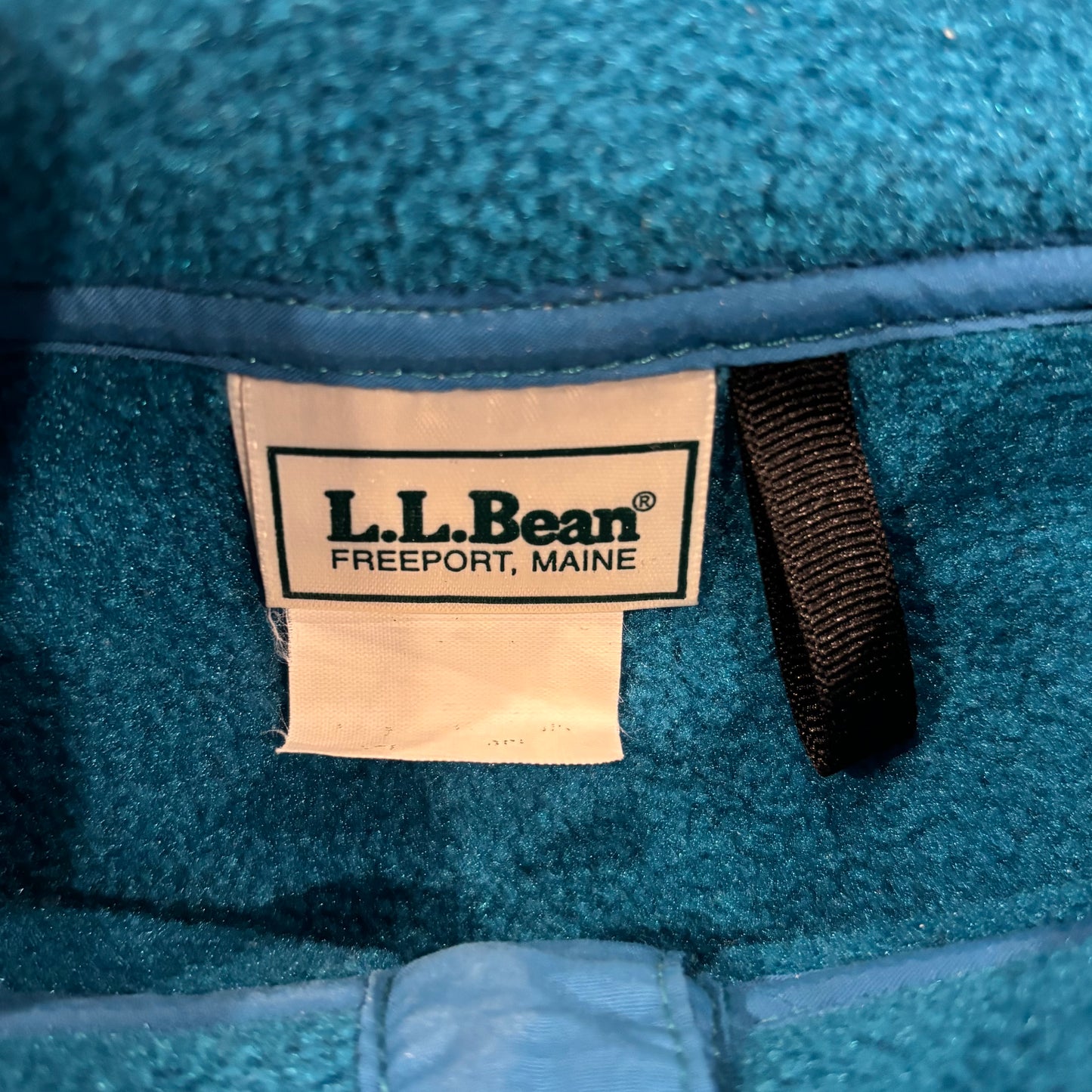 90's L.L.Bean スナップTタイプ フリース ターコイズブルー (XL)/B3241F-SO