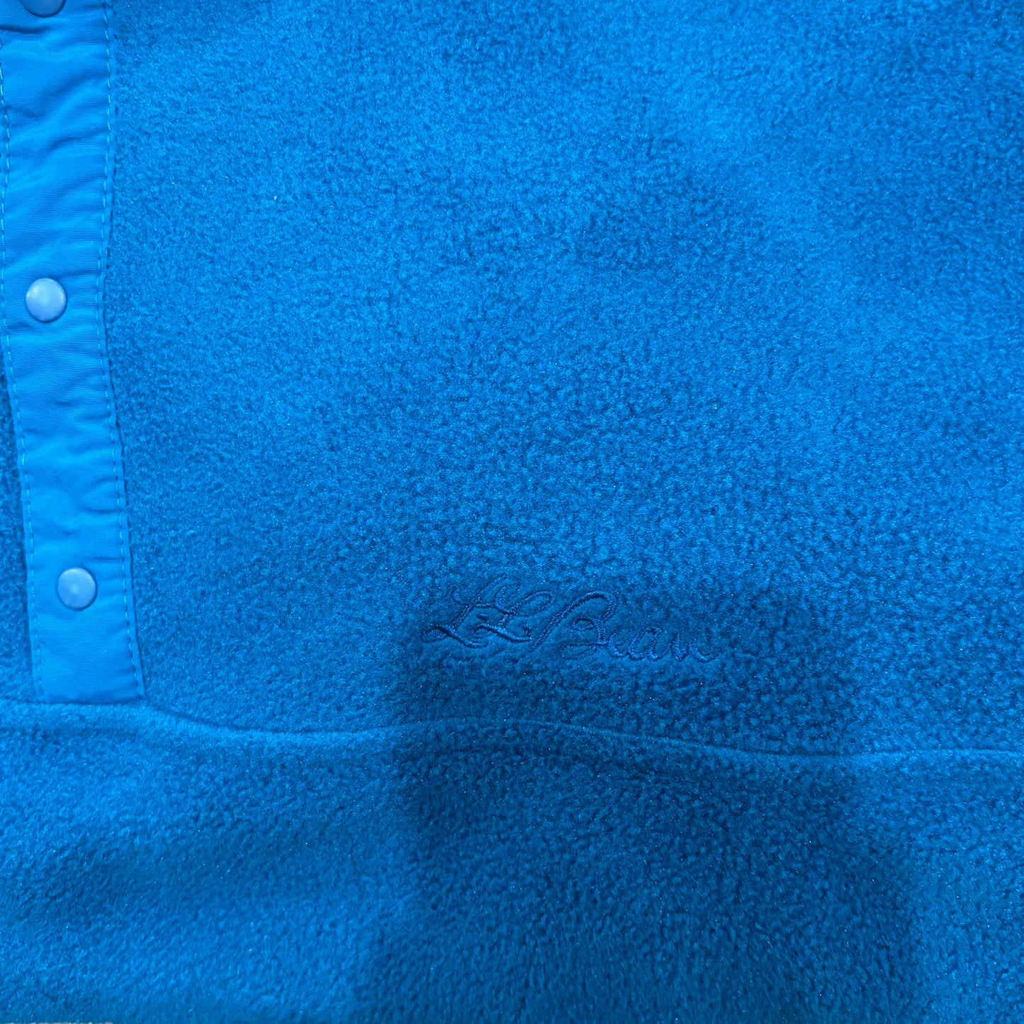 90's L.L.Bean スナップTタイプ フリース ターコイズブルー (XL)/B3241F-SO