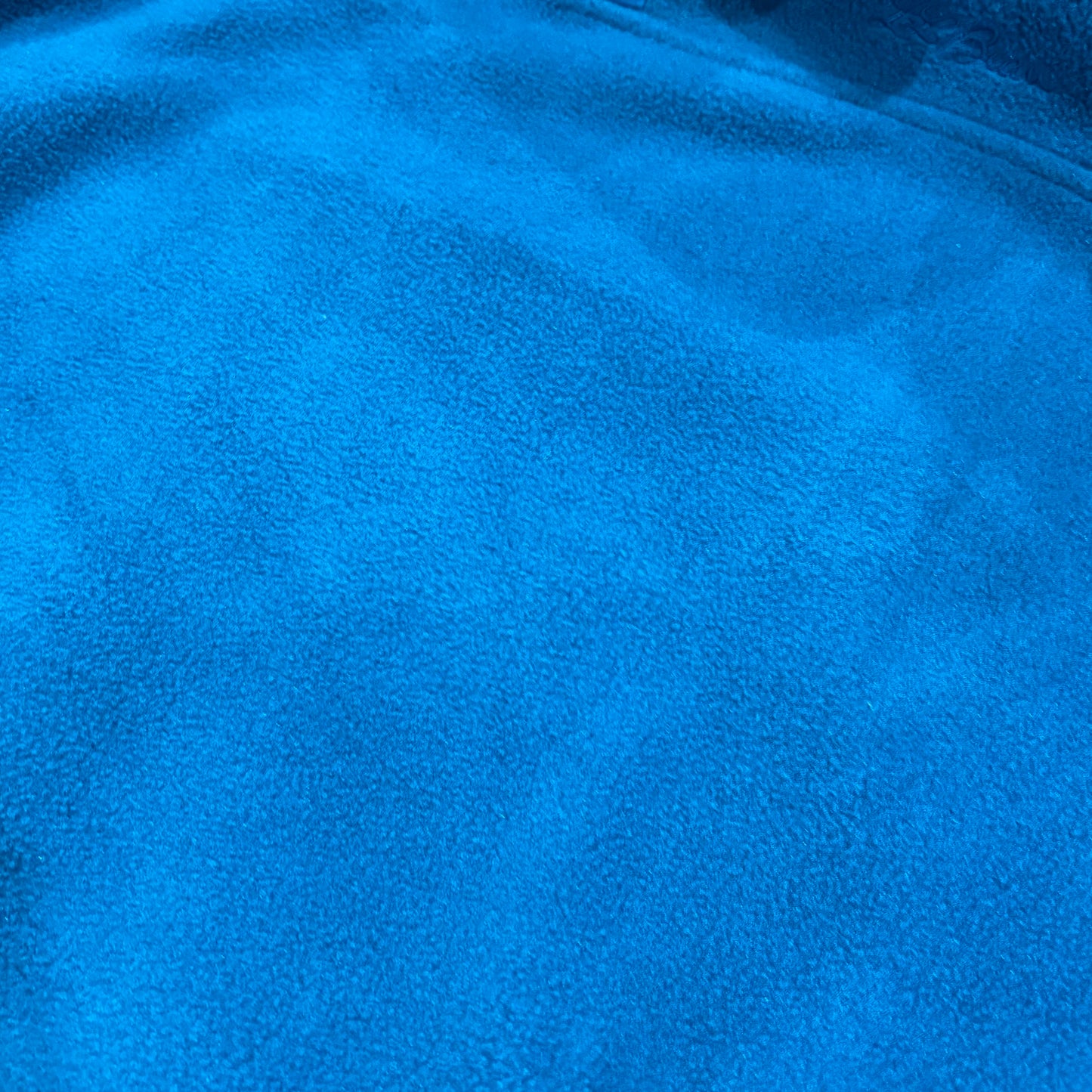 90's L.L.Bean スナップTタイプ フリース ターコイズブルー (XL)/B3241F-SO