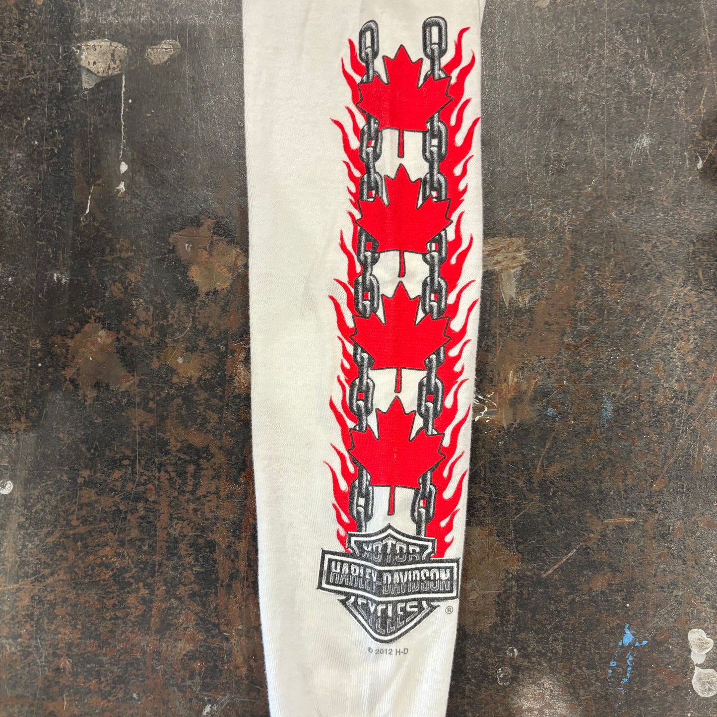 00's  HAREY-DAVIDSON 袖プリント ロンT 白 (M) /B3244T-SO