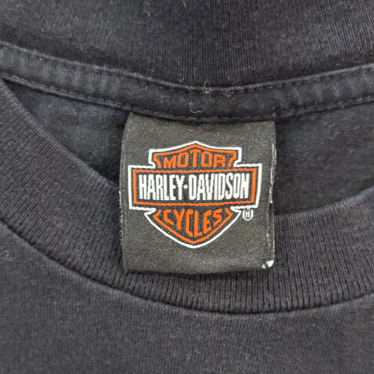 00's  HAREY-DAVIDSON ファイヤーパターン 袖プリント ロンT 黒 (XL) /B3246T-SO