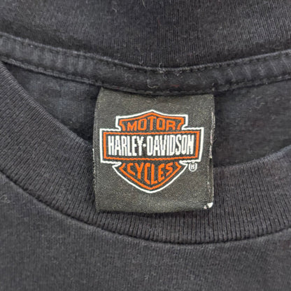 00's  HAREY-DAVIDSON ファイヤーパターン 袖プリント ロンT 黒 (XL) /B3246T-SO