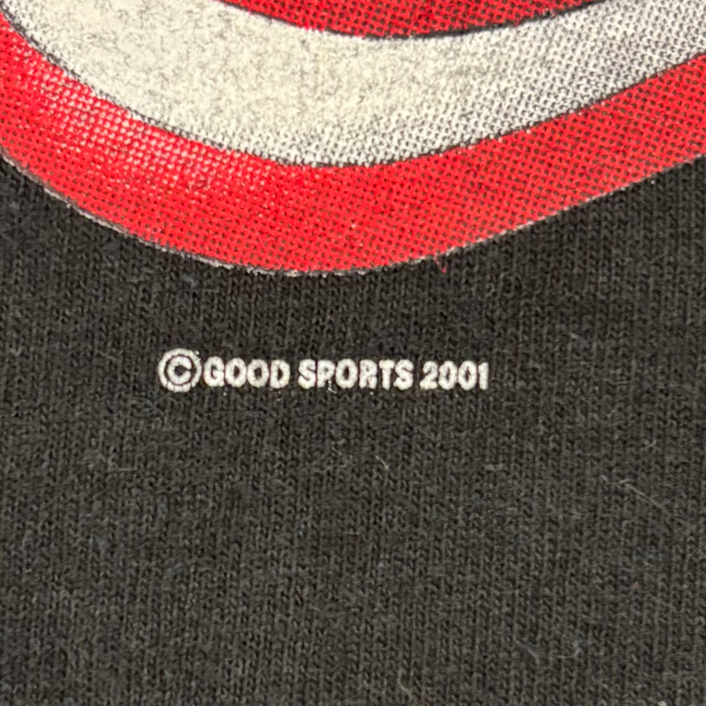 00's DELTA  HOT LEATHERS  袖プリント ロンT 黒 (L) /A8808T-SO