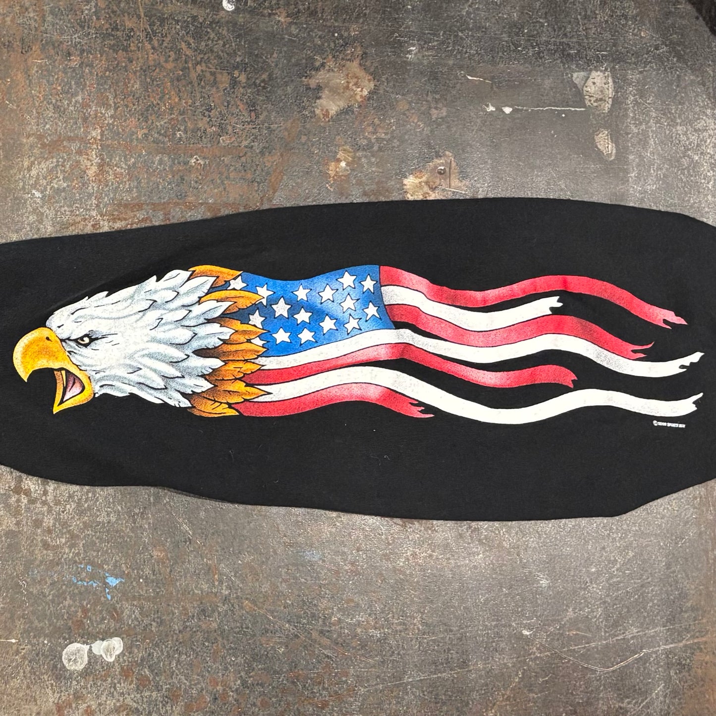 00's DELTA  HOT LEATHERS  袖プリント ロンT 黒 (L) /A8808T-SO