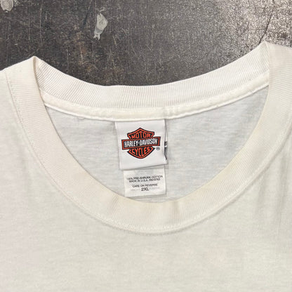 00's  HAREY-DAVIDSON  Birmingham,AL  ファイヤーパターン 袖プリント ロンT 白 (2XL) /B3247T-SO
