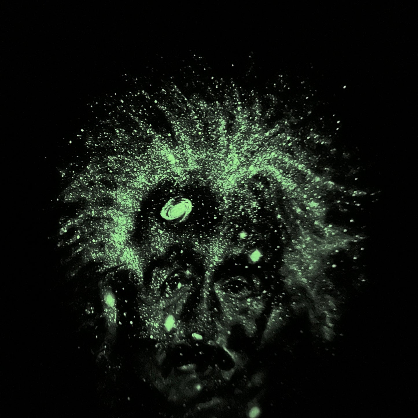 90's Albert Einstein アインシュタイン 蓄光プリントTシャツ ブラック(L)/C1220T-SO