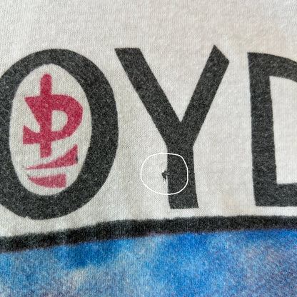 90's Pink Floyd ピンク・フロイド ”The Division Bell" ワールドツアー  メキシコ公演 ツアーTシャツ ブート 白/C1243T-SO