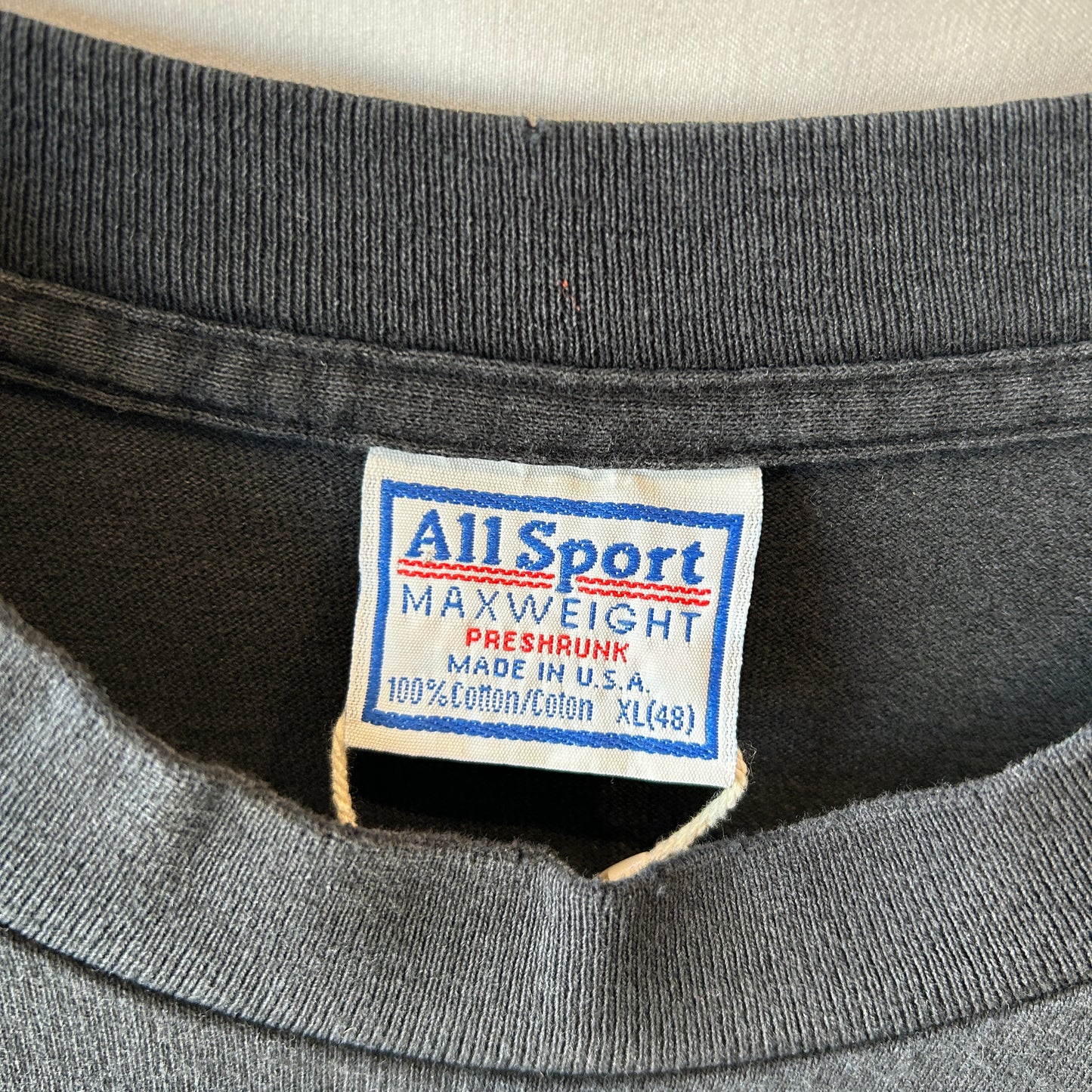 90's your problem is obvious メッセージTシャツ Allsport シングルステッチ USA製 (XL)/C1245T-SO