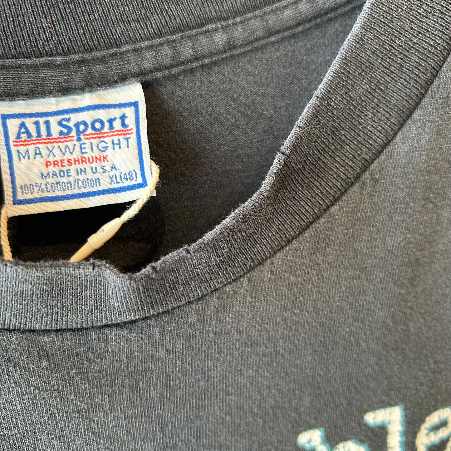 90's your problem is obvious メッセージTシャツ Allsport シングルステッチ USA製 (XL)/C1245T-SO