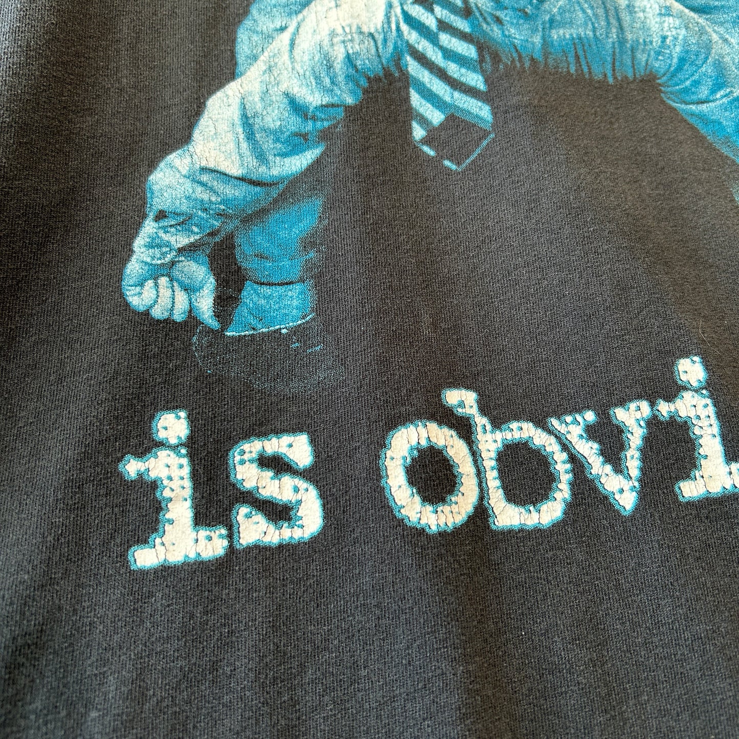 90's your problem is obvious メッセージTシャツ Allsport シングルステッチ USA製 (XL)/C1245T-SO