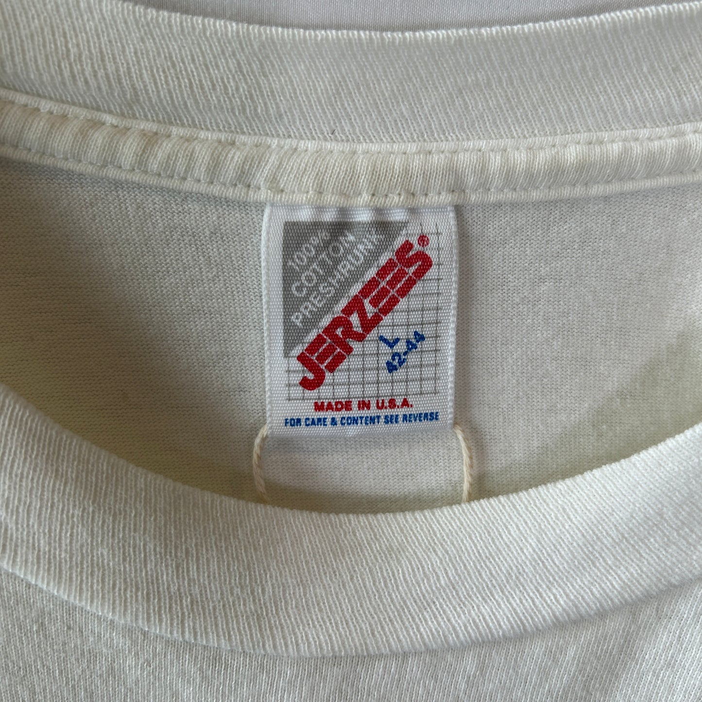 90's APLIS(応用物理学研究所氷上観測ステーション) Tシャツ Jerzees(L)/C0805T-SO