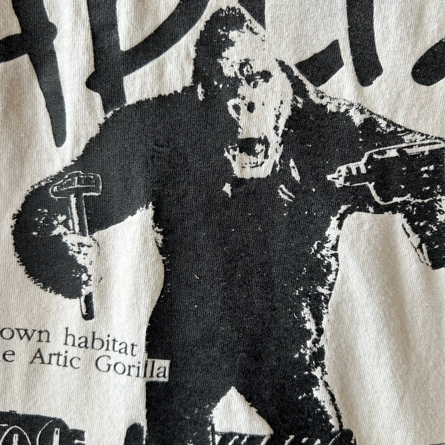 90's APLIS(応用物理学研究所氷上観測ステーション) Tシャツ Jerzees(L)/C0805T-SO