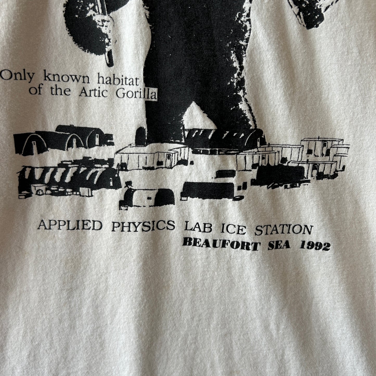 90's APLIS(応用物理学研究所氷上観測ステーション) Tシャツ Jerzees(L)/C0805T-SO