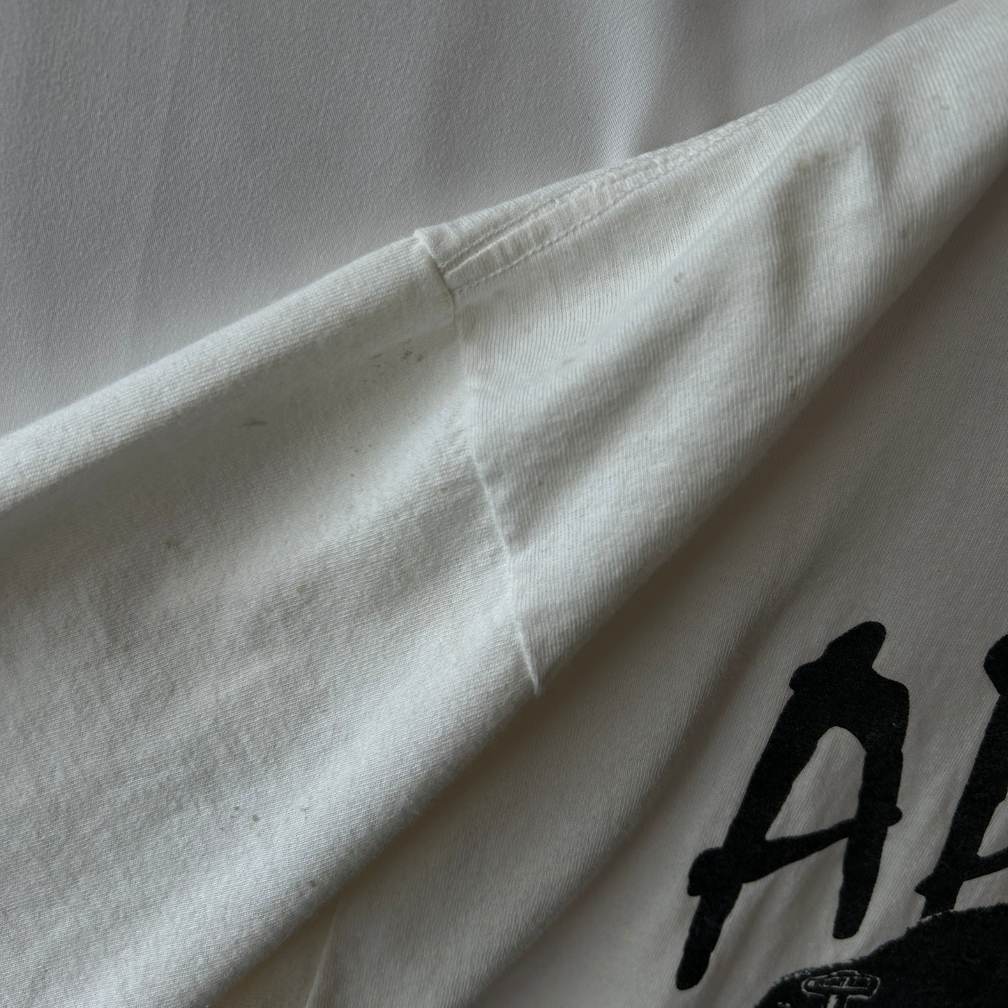 90's APLIS(応用物理学研究所氷上観測ステーション) Tシャツ Jerzees(L)/C0805T-SO