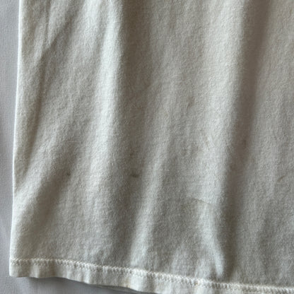 90's APLIS(応用物理学研究所氷上観測ステーション) Tシャツ Jerzees(L)/C0805T-SO