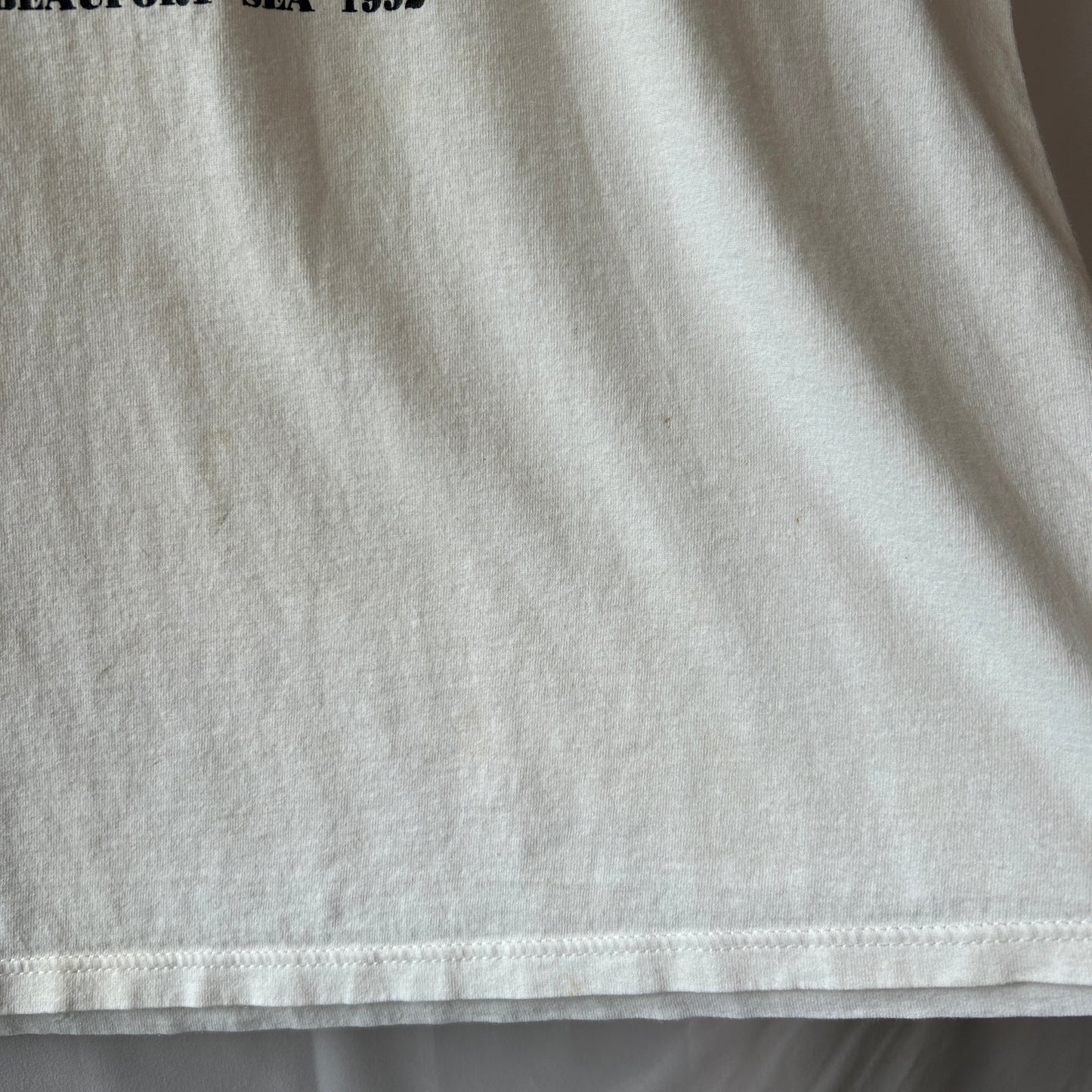 90's APLIS(応用物理学研究所氷上観測ステーション) Tシャツ Jerzees(L)/C0805T-SO