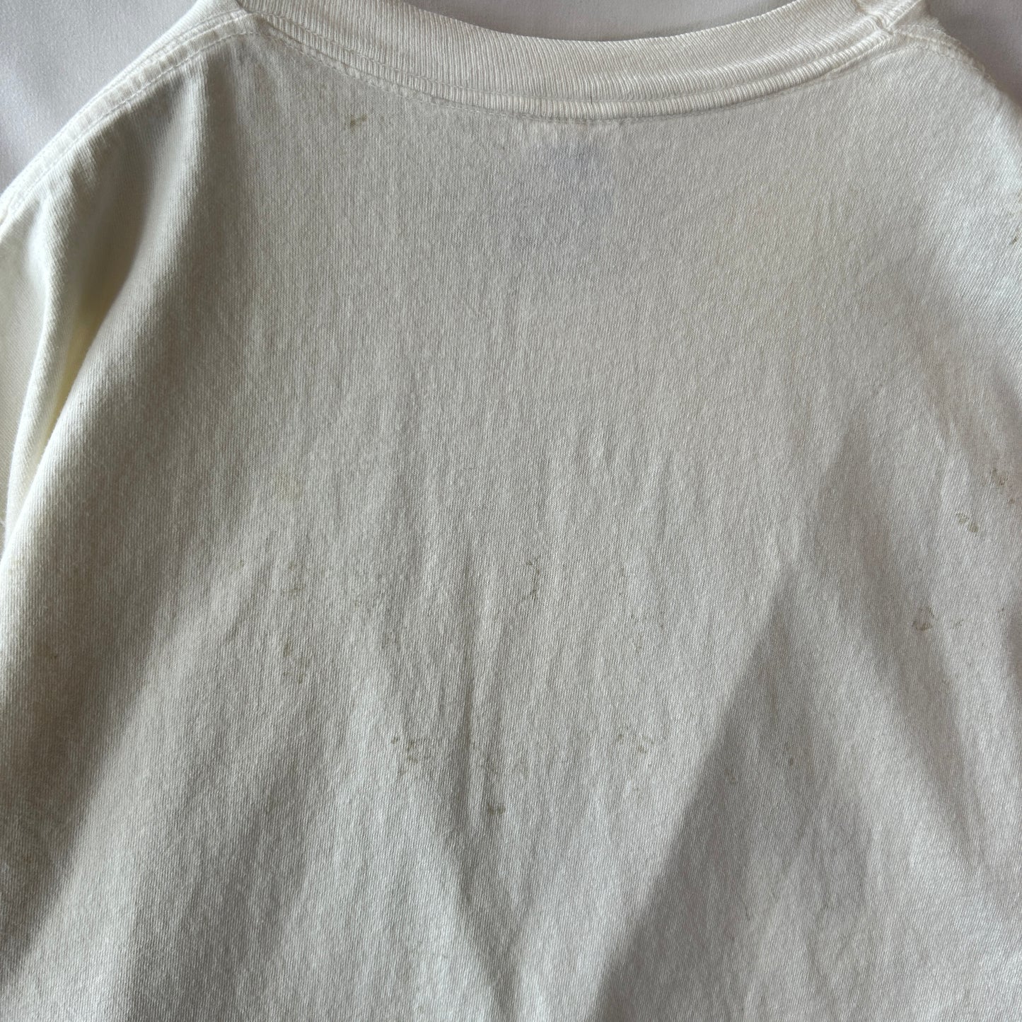 90's APLIS(応用物理学研究所氷上観測ステーション) Tシャツ Jerzees(L)/C0805T-SO