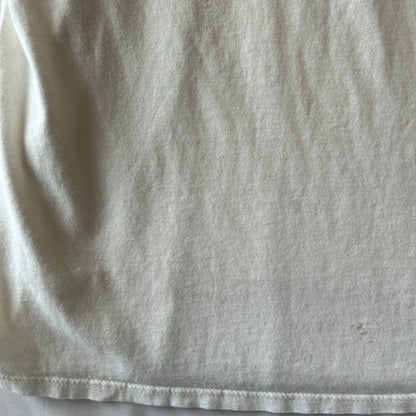 90's APLIS(応用物理学研究所氷上観測ステーション) Tシャツ Jerzees(L)/C0805T-SO