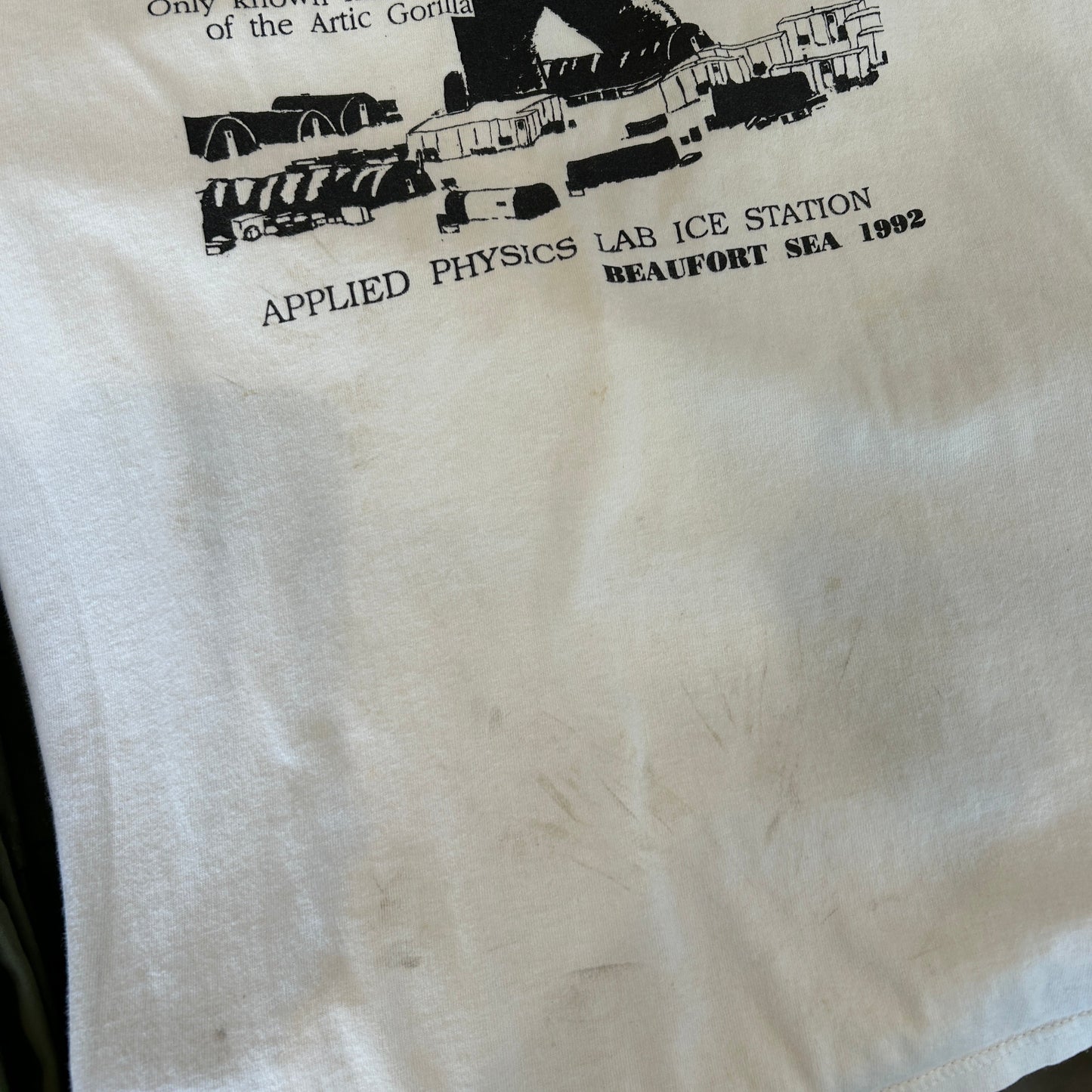 90's APLIS(応用物理学研究所氷上観測ステーション) Tシャツ Jerzees(L)/C0805T-SO