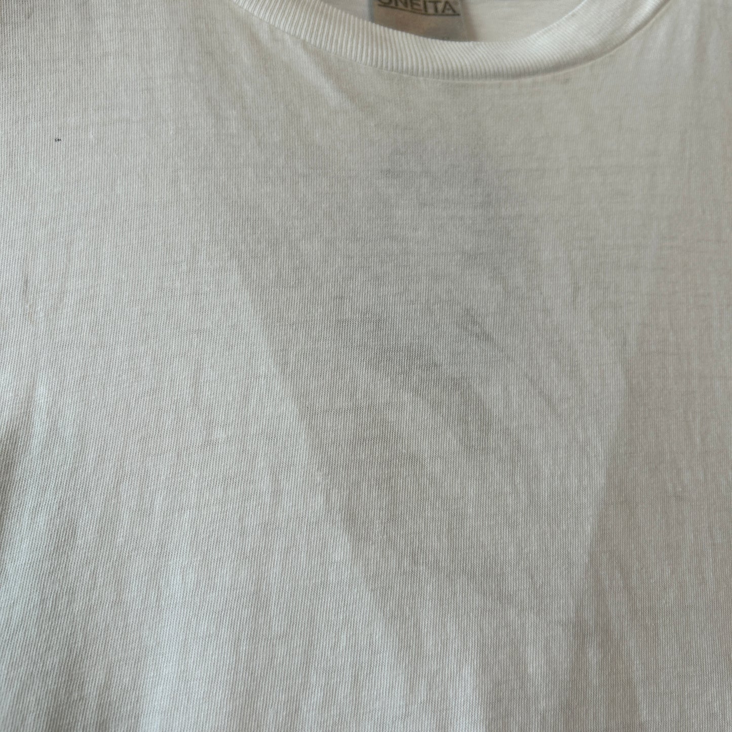 90's SMP グラフィックTシャツ サーフ オールドスケート ONEITA(XL)/B2162T-SO