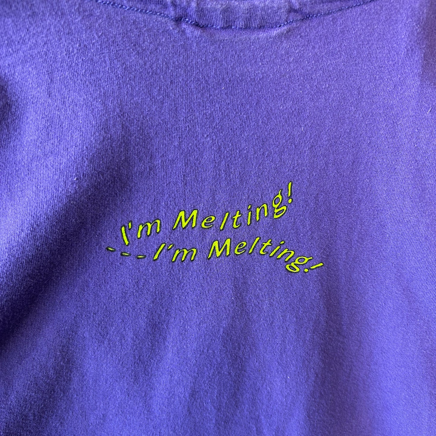 90's Hanes オズの魔法使い "西の悪い魔女” Tシャツ パープル(XL)/B3459T-SO