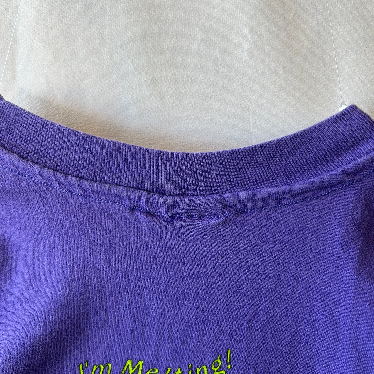 90's Hanes オズの魔法使い "西の悪い魔女” Tシャツ パープル(XL)/B3459T-SO