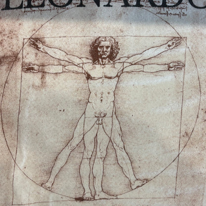 90's Fruit Of The Loom Leonardo Da Vinci ウィトルウィウス的人体図 芸術家 Tシャツ 白 (L)/B2169T-SO