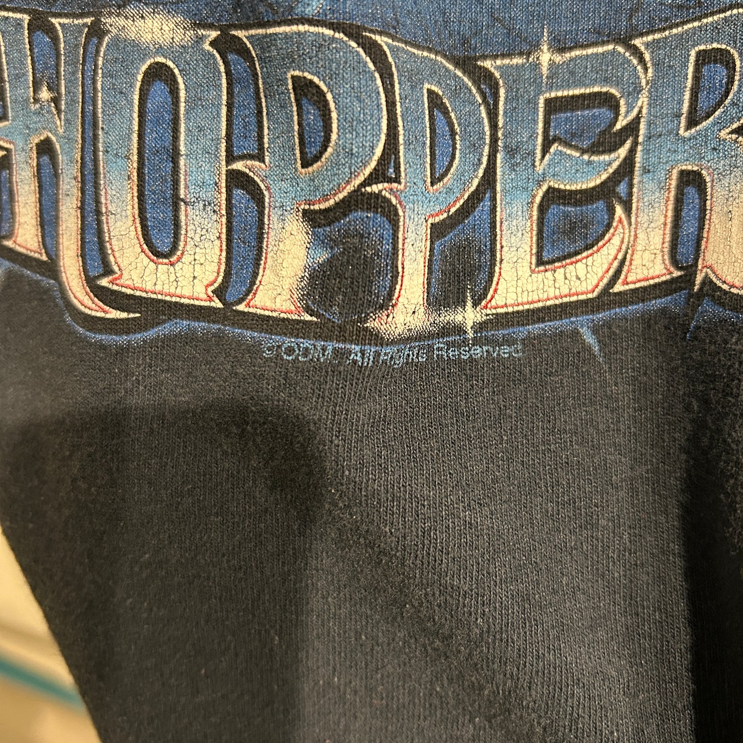 ORANGE COUNTRY CHOPPERS 袖プリント ロンT 黒/A7707T-SO