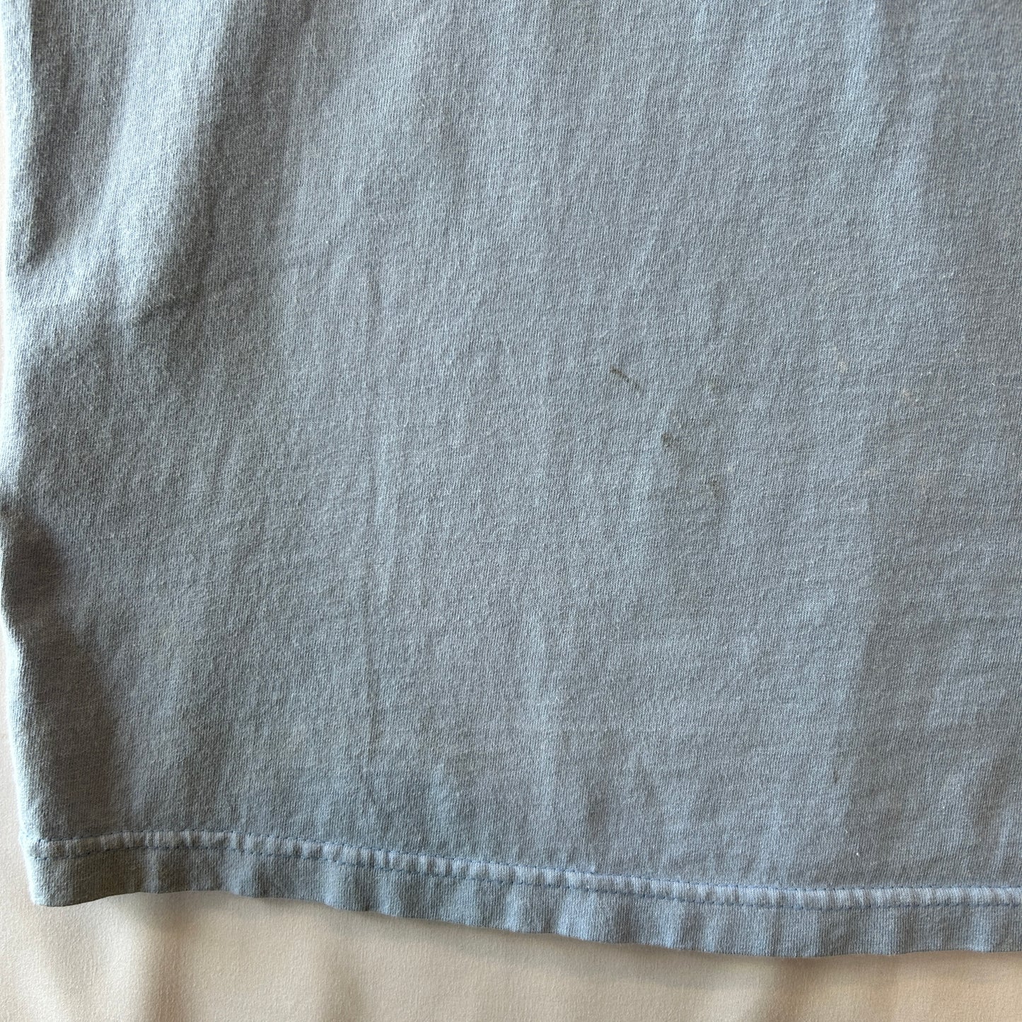 90's Vans ヴァンズ オーバルロゴTシャツ スケート ブルー (L)/C1075T-SO