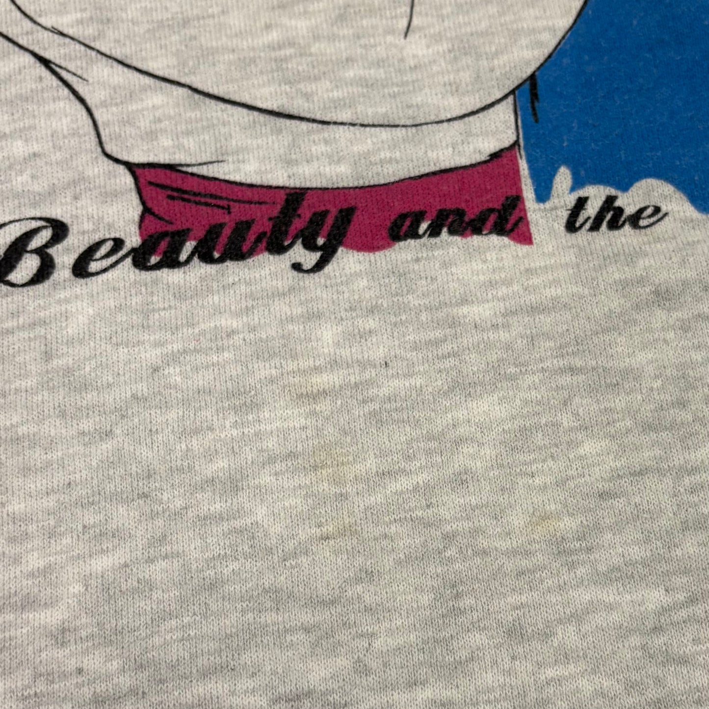 90's JERZEES 美女と野獣 ディズニー スウェット アッシュグレー (M) /B3047S-SO