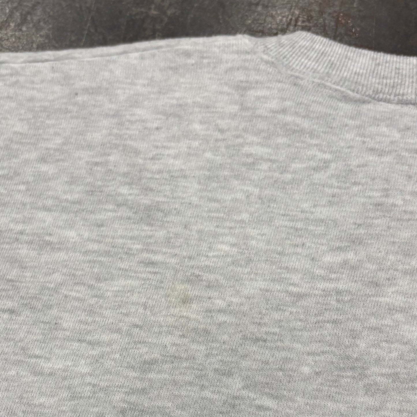 90's JERZEES 美女と野獣 ディズニー スウェット アッシュグレー (M) /B3047S-SO