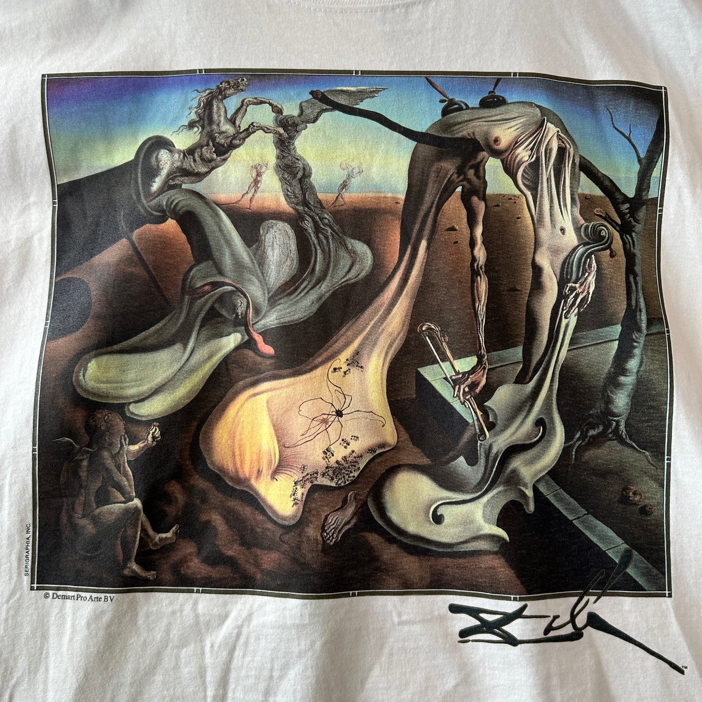 Dead Stock 90's Salvador Dali サルバドール・ダリ”夜のメクラグモ...希望！” アートTシャツ (L)/C1335T-SO