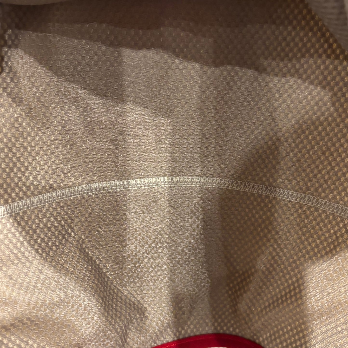 2011(FA11) Patagonia パタゴニア レトロX ベスト アイボリー (L)/A9154V-SO