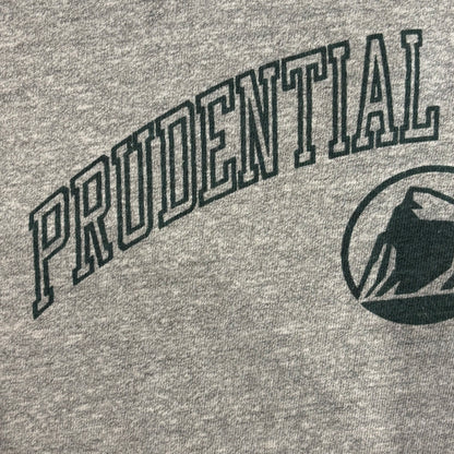 90's Champion PRUDENTIAL SECURITIES カレッジTシャツ グレー (XL)/A4504T-SO