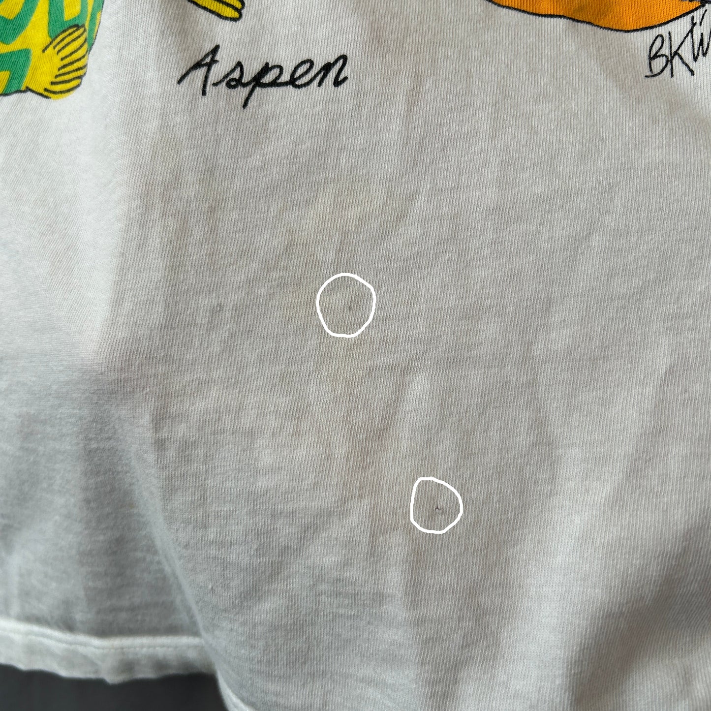 90's Crazy Shirt ”クリバンキャット" プリントTシャツ スーベニア ハワイ 白(L)/C0707T-SO