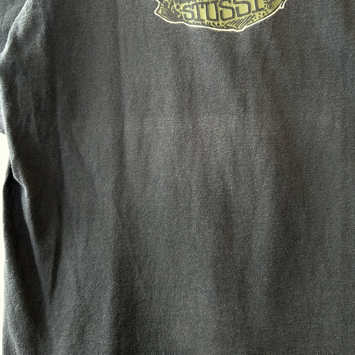 80's Stussy ステューシー Don't Take The Bite... 魚 Tシャツ ブラック (L)/C0434T-SO