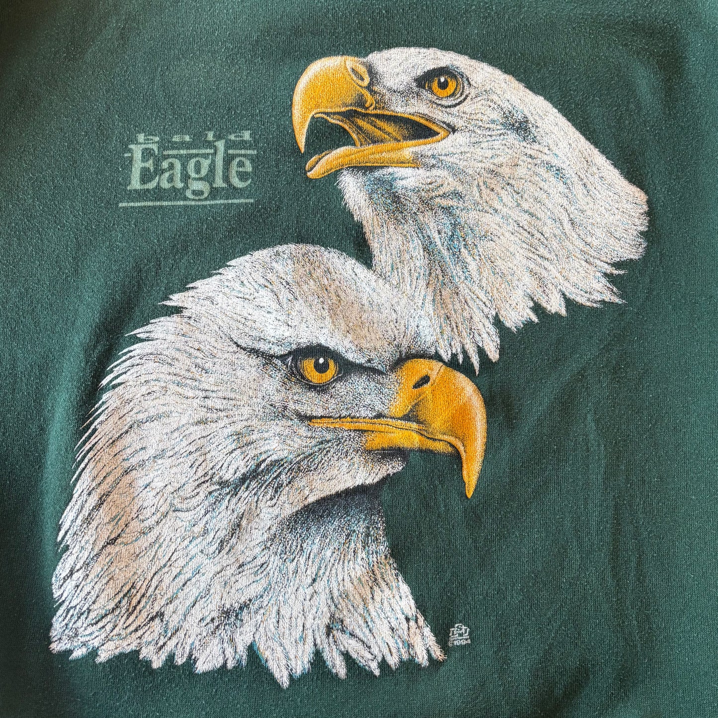 90's GROVE Eagle Print スウェットシャツ 緑 (XL)/A7837S-SO