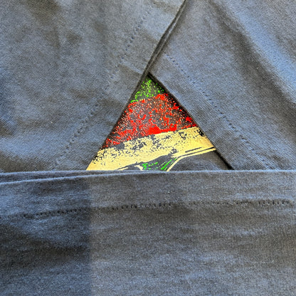 90's Savvy LAKE ONTARIO オンタリオ湖プリントTシャツ トラウト サーモン 紺(L)/A7386T-SO