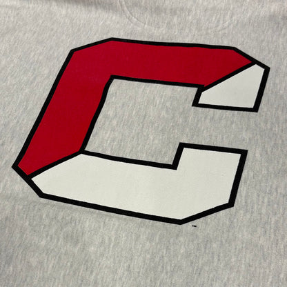 00's Champion REVERSE WEAVE リバースウィーブ CORNELL 両面プリント カレッジフーディー アッシュグレー (XL)/A8197S-SO