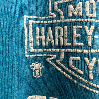 80's Harley Davidson ハーレー 発泡/ラバー両面プリントスウェット ターコイズ/A8411S-SO